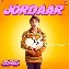 Jordaar - Jayeshbhai Jordaar